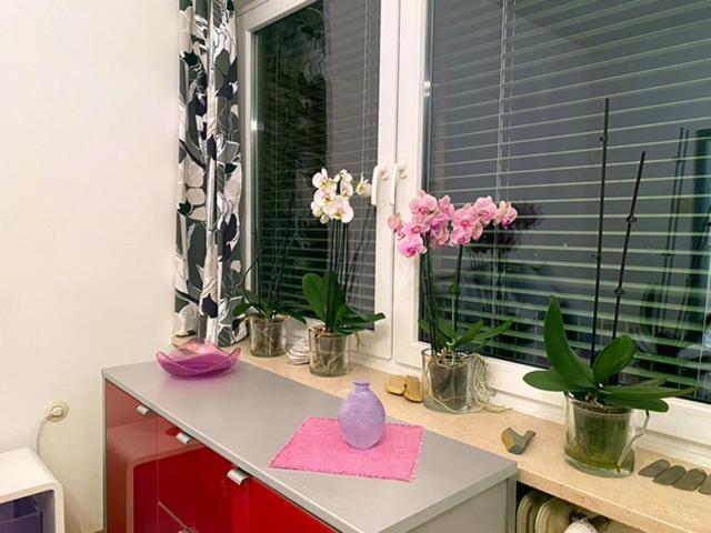 Ferienwohnung Anita Філлах Екстер'єр фото